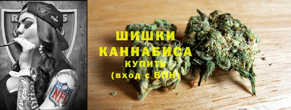 стафф Болотное