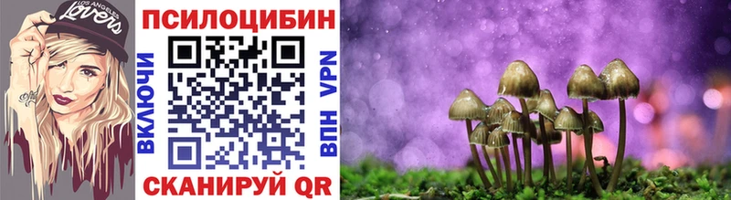 Псилоцибиновые грибы MAGIC MUSHROOMS  нарко площадка официальный сайт  Ермолино 