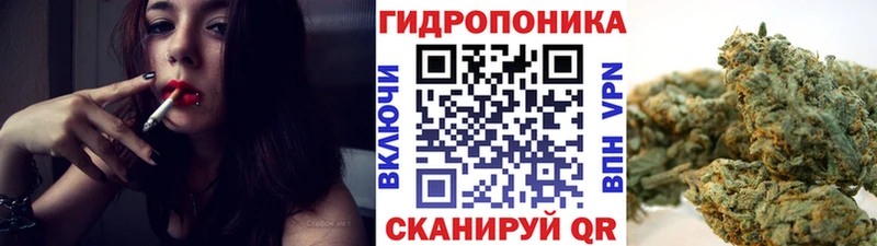 Конопля семена  наркотики  hydra рабочий сайт  Ермолино 